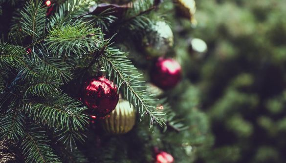 Beautiful Christmas tree with handcrafted red and gold ornaments showcasing the artistry taught in our courses